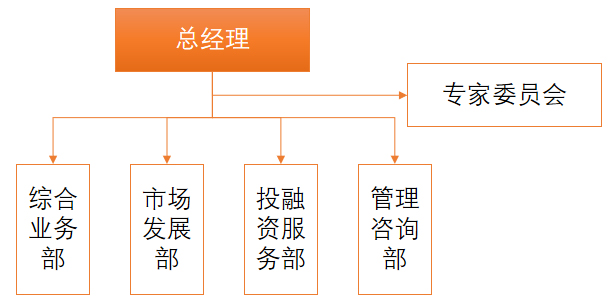 Organization